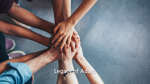 Legacy of Adam