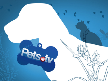 Pets.TV
