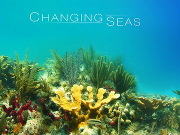 Changing Seas