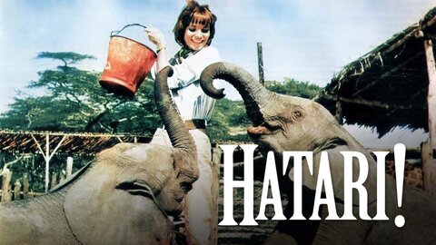 Hatari!