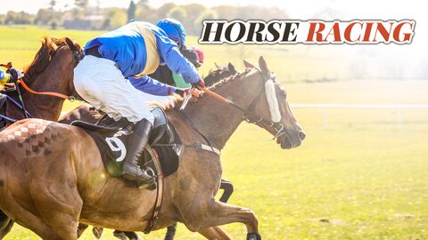 Horse Racing