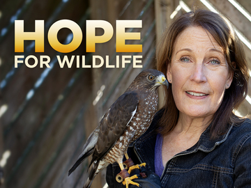 Hope for Wildlife