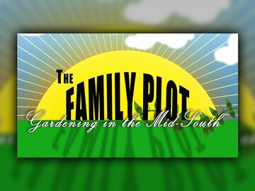 Family Plot: Gardening in the Mid-South