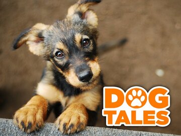 Dog Tales