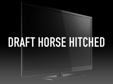 Draft Horse Hitched